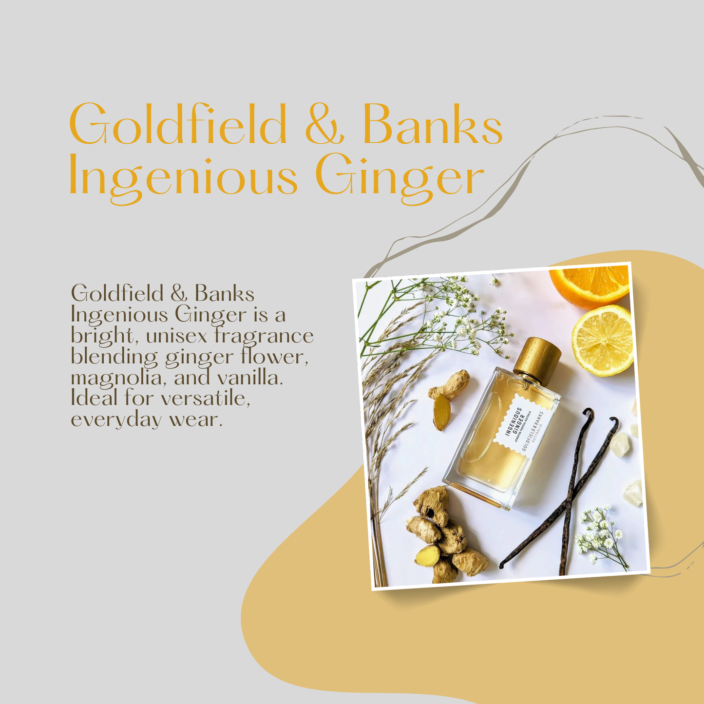 Goldfield & Banks Australia Ingenious Ginger