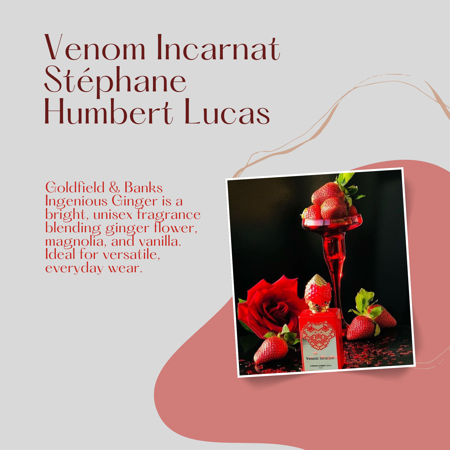 Stephane Humbert Lucas Venom Incarnat